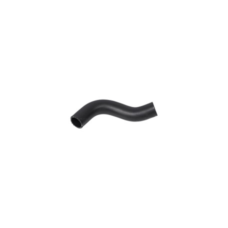 (19502PNB000 ) HONDA LOWER RADIATOR HOSE
