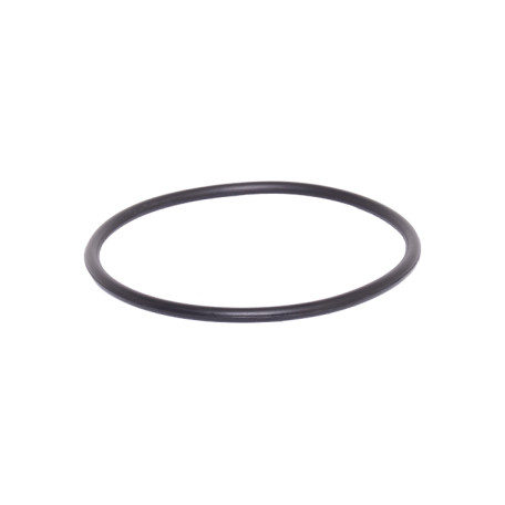 NEW (1254286=GM 90411085) VECTRA B 1.6 1.8 2.0 FUEL PUMP SEAL