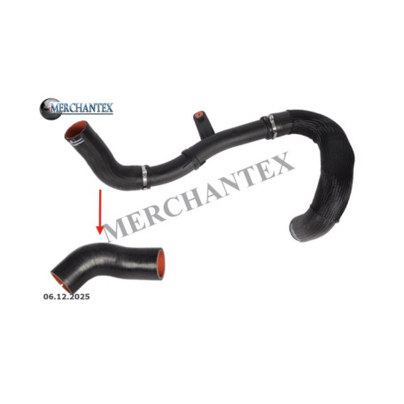 (1394053080) FIAT TURBO HOSE
EXCLUDING PLASTIC PIPE (1394053080) FIAT TURBO HOSE
EXCLUDING PLASTIC PIPE