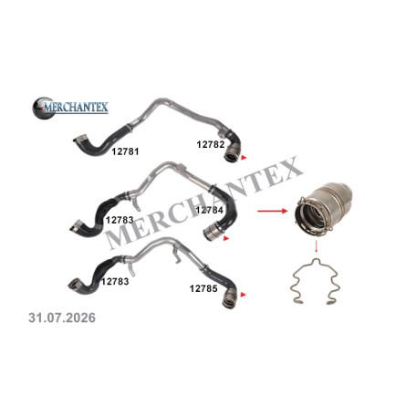 (144646921R 0155100Q1A 0155200Q4K 4502746 GM 95519387 1687123580) NISSAN OPEL RENAULT VAUXHALL TURBO PIPE CLIPS