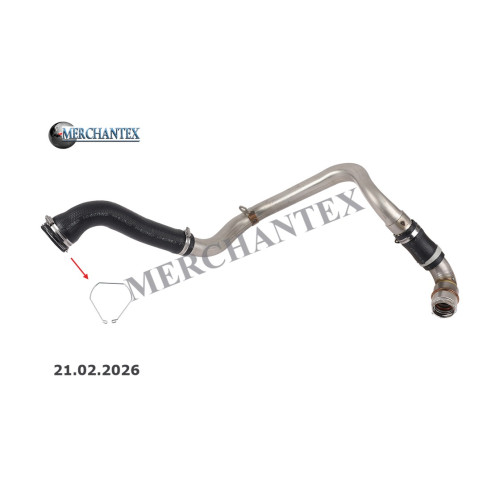 (7701071319 8200961423 144606106R) RENAULT TURBO PIPE CLIPS